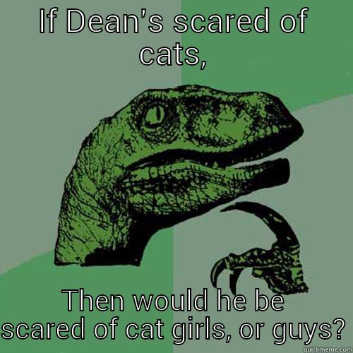 IF DEAN'S SCARED OF CATS, THEN WOULD HE BE SCARED OF CAT GIRLS, OR GUYS? Philosoraptor