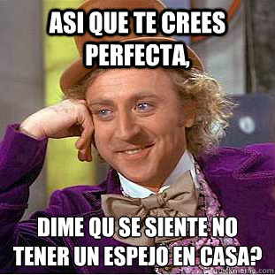 Asi que te crees perfecta,  Dime ¿Qué se siente no tener un espejo en casa?  Condescending Wonka
