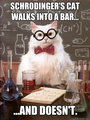 Schrodinger's cat walks into a bar... ...And doesn't.  Chemistry Cat