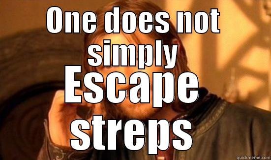 ONE DOES NOT SIMPLY ESCAPE STREPS Boromir