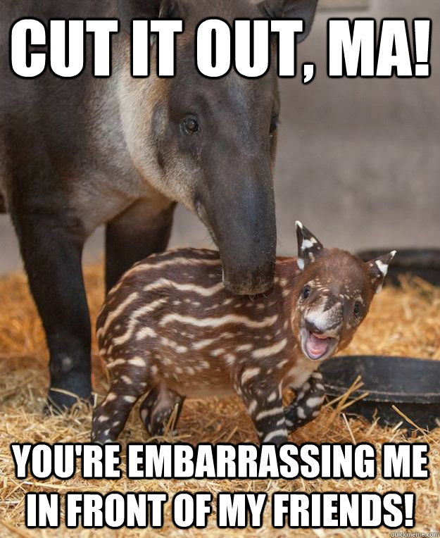 Cut it out, Ma! You're embarrassing me in front of my friends!  Teenage Tapir