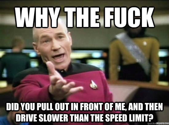 Why the fuck did you pull out in front of me, and then drive slower than the speed limit?  Annoyed Picard HD