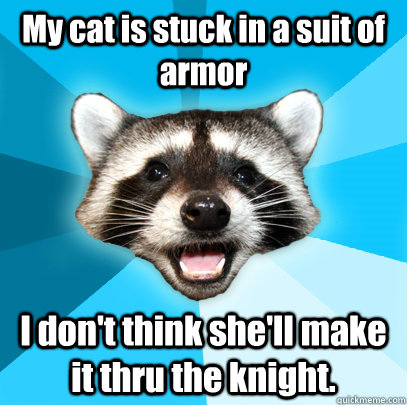 My cat is stuck in a suit of armor  I don't think she'll make it thru the knight.   Lame Pun Coon