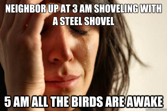 Neighbor up at 3 am shoveling with a steel shovel 5 am all the birds are awake  First World Problems