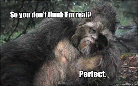 So you don't think I'm real? Perfect.  Sasquatch