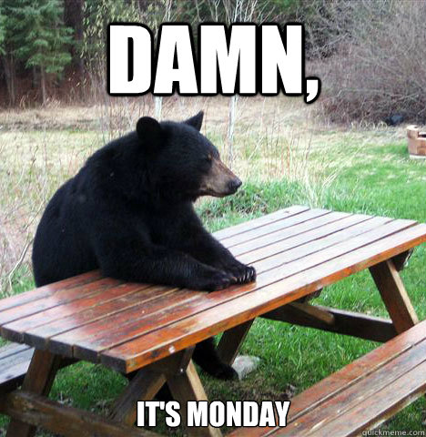 Damn, IT'S MONDAY  waiting bear