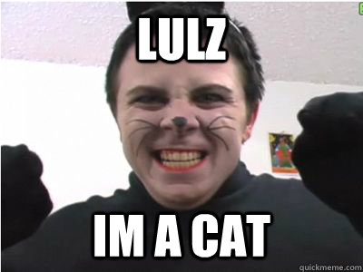 LULZ IM A CAT  Catman