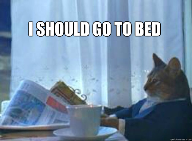 I should go to bed  - I should go to bed   I should buy a boat cat