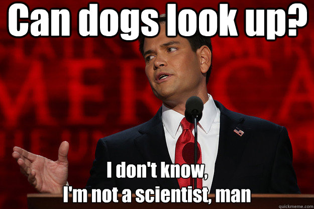 Can dogs look up? I don't know,
I'm not a scientist, man - Can dogs look up? I don't know,
I'm not a scientist, man  Not-a-scientist Rubio
