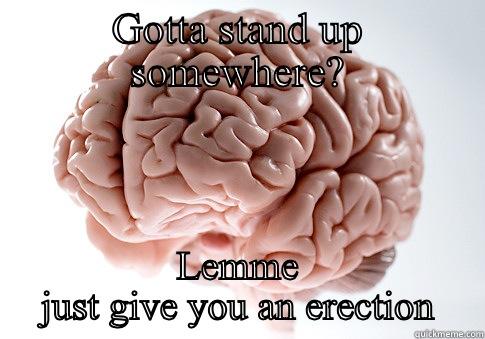 GOTTA STAND UP SOMEWHERE? LEMME JUST GIVE YOU AN ERECTION Scumbag Brain