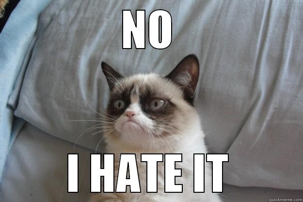 NO I HATE IT Grumpy Cat