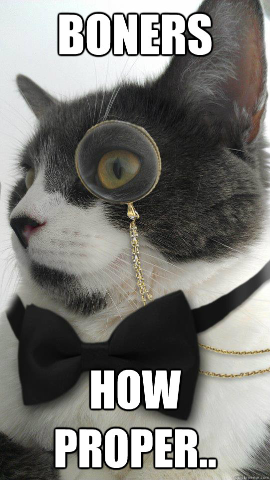 BONERS How proper.. - BONERS How proper..  Monocle cat