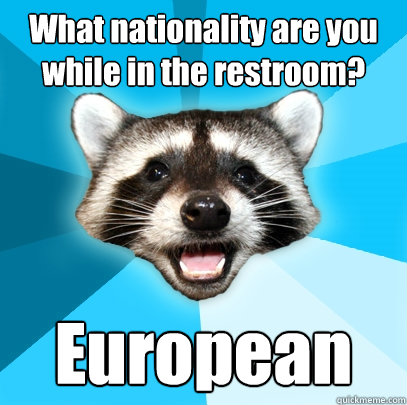 What nationality are you while in the restroom? European  Lame Pun Coon