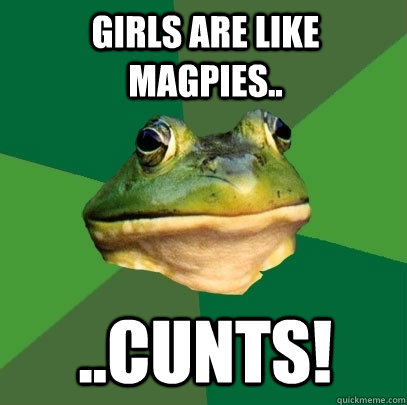 Girls are like Magpies.. ..CUnts!  Foul Bachelor Frog