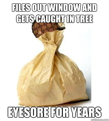 files out window and gets caught in tree eyesore for years  Scumbag Bag