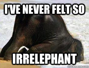 i've never felt so irrelephant - i've never felt so irrelephant  Misc