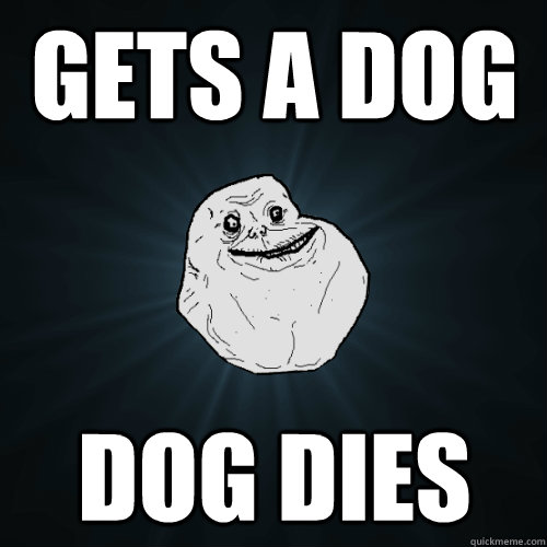 GETS A DOG dog dies  Forever Alone