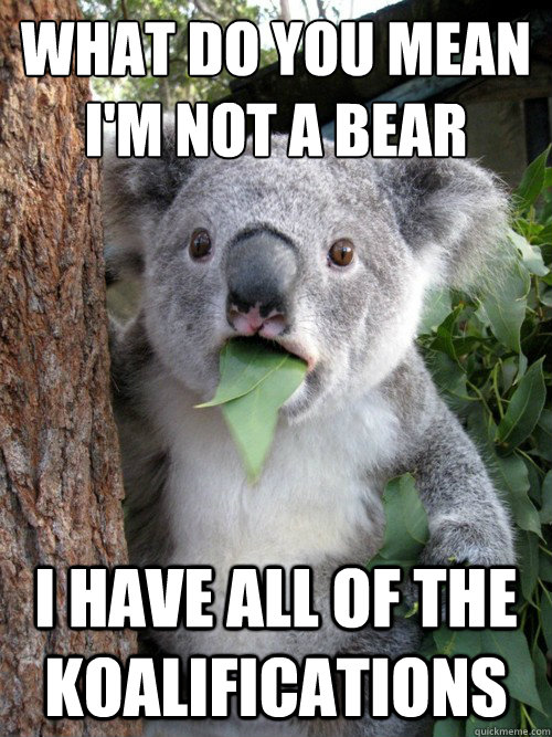 What do you mean I'm not a bear I have all of the koalifications  