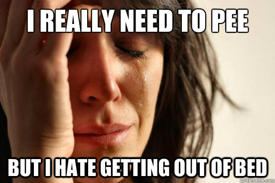 I REALLY NEED TO PEE BUT I HATE GETTING OUT OF BED  First World Problems