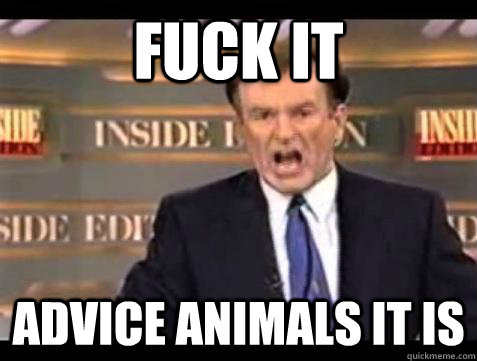 Fuck it Advice animals it is - Fuck it Advice animals it is  Bill OReilly Fuck It