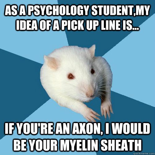 As a psychology student,My idea of a pick up line is... if you're an axon, I would be your myelin sheath  Psychology Major Rat