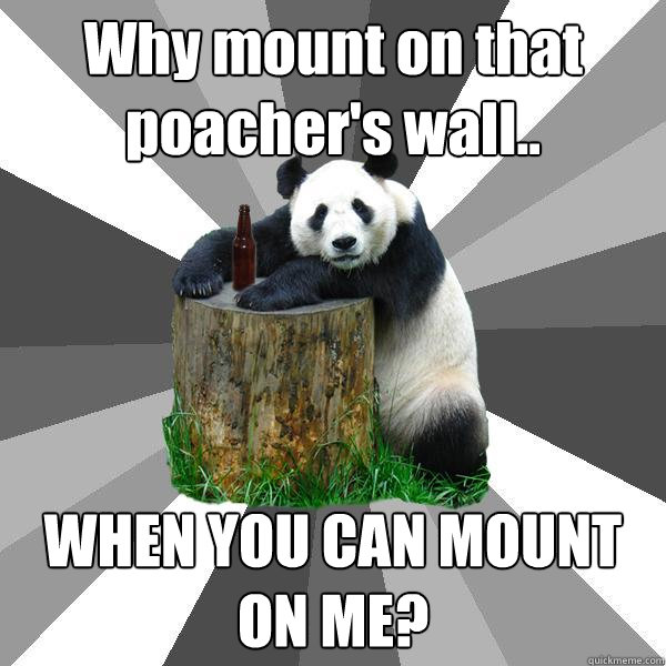 Why mount on that poacher's wall.. WHEN YOU CAN MOUNT ON ME?  Pickup-Line Panda