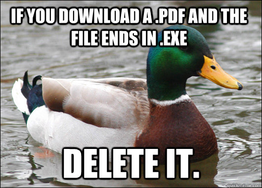 If you download a .pdf and the file ends in .exe delete it. - If you download a .pdf and the file ends in .exe delete it.  Actual Advice Mallard