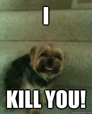 I Kill You! - I Kill You!  Annoying dog