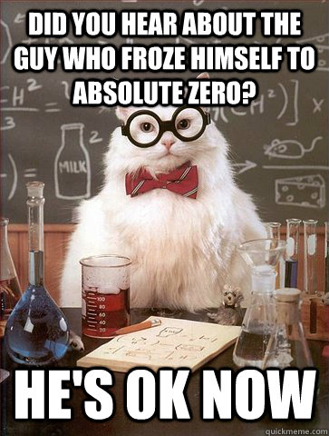 did you hear about the guy who froze himself to absolute zero? he's 0k now  Science Cat
