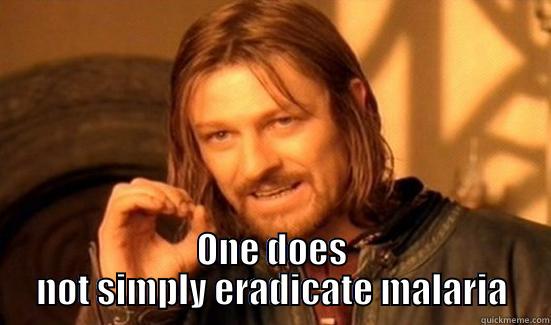  ONE DOES NOT SIMPLY ERADICATE MALARIA Boromir