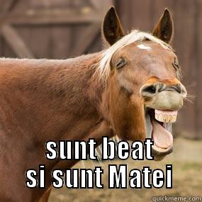  SUNT BEAT SI SUNT MATEI Good Dog Greg