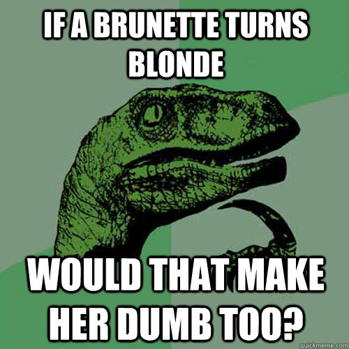 If a brunette turns blonde  would that make her dumb too? - If a brunette turns blonde  would that make her dumb too?  Philosoraptor