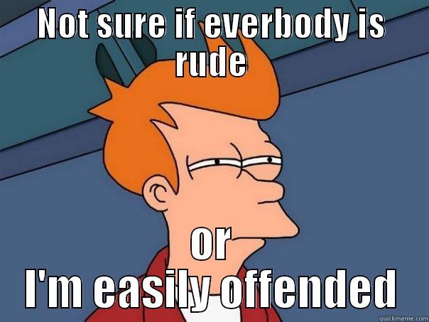 NOT SURE IF EVERBODY IS RUDE OR I'M EASILY OFFENDED Futurama Fry
