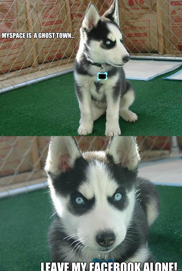 Myspace is  a Ghost Town... Leave my Facebook alone!  Insanity puppy
