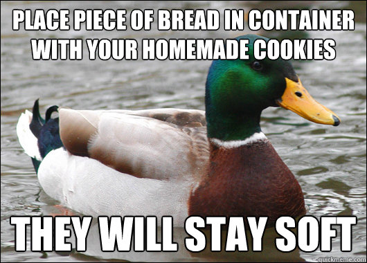 place piece of bread in container with your homemade cookies they will stay soft  Actual Advice Mallard