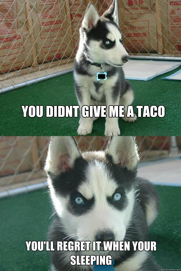 you didnt give me a taco you'll regret it when your sleeping  Insanity puppy