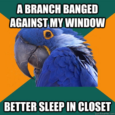 A branch banged against my window better sleep in closet  Paranoid Parrot