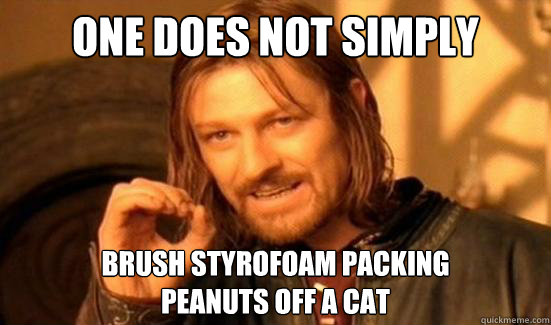 One Does Not Simply Brush Styrofoam Packing
Peanuts Off a Cat - One Does Not Simply Brush Styrofoam Packing
Peanuts Off a Cat  Boromir
