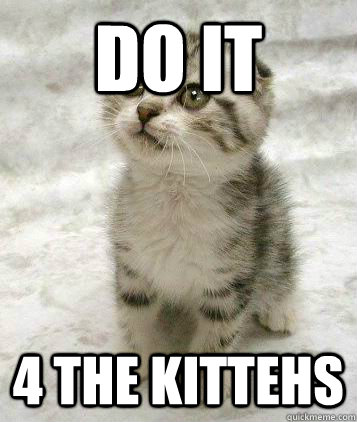 do it 4 the kittehs  Sad cat
