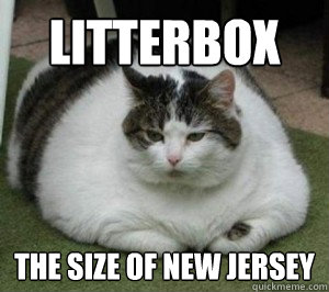 litterbox the size of new jersey - litterbox the size of new jersey  Fat Cat