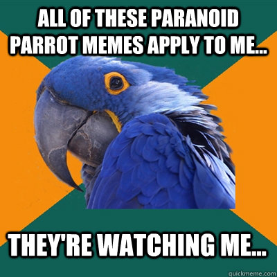All of these paranoid parrot memes apply to me... They're watching me...  Paranoid Parrot