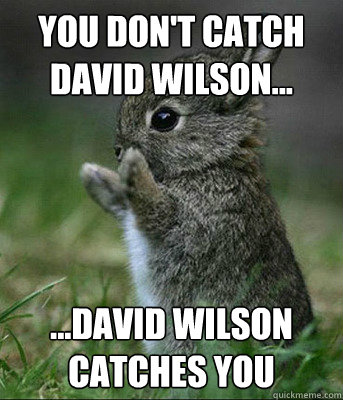 You don't catch David Wilson... ...David Wilson catches you - You don't catch David Wilson... ...David Wilson catches you  FURIOUS BUNNY