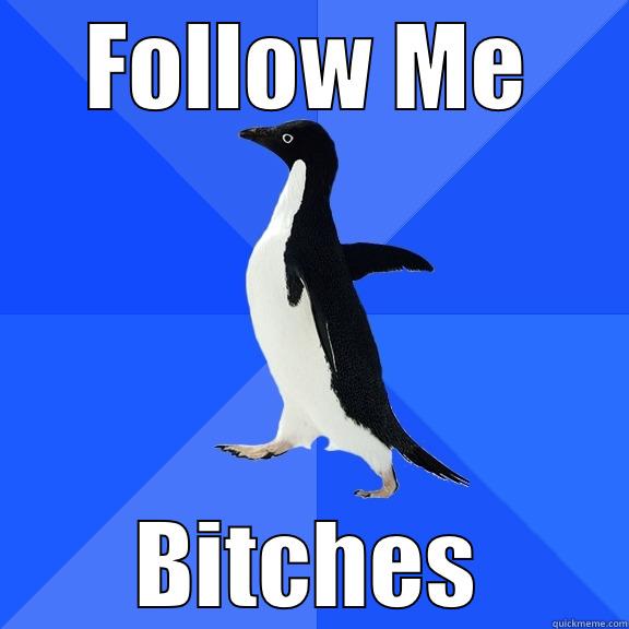 FOLLOW ME BITCHES Socially Awkward Penguin