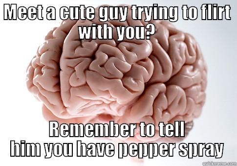 MEET A CUTE GUY TRYING TO FLIRT WITH YOU? REMEMBER TO TELL HIM YOU HAVE PEPPER SPRAY Scumbag Brain