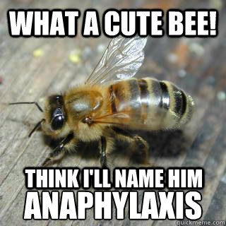 what a cute bee! Anaphylaxis think i'll name him  Hivemind bee
