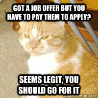 Got a job offer but you have to pay them to apply? Seems legit, you should go for it - Got a job offer but you have to pay them to apply? Seems legit, you should go for it  Sarcasm Spazz