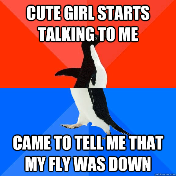 Cute girl starts talking to me Came to tell me that my fly was down  Socially Awesome Awkward Penguin