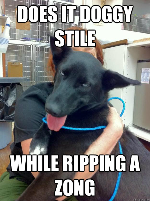 does it doggy stile  while ripping a zong  horny stoned dog