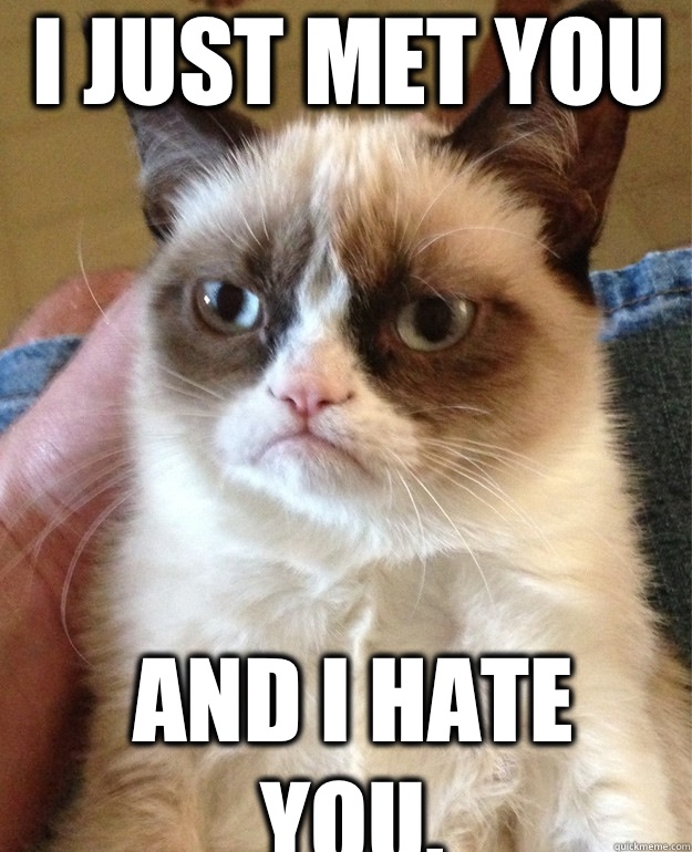 I just met you And I hate you. - I just met you And I hate you.  Grumpy Cat