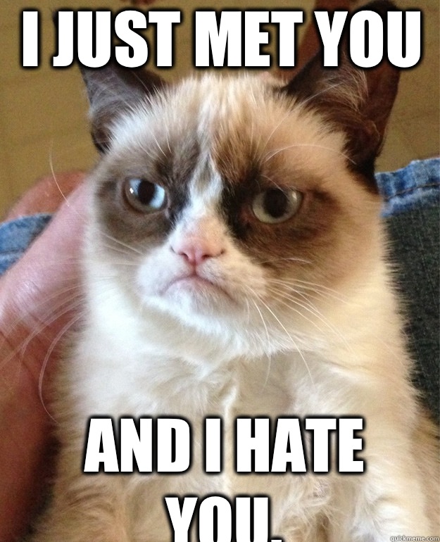 I just met you And I hate you.  Grumpy Cat